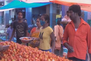 tomato price in bastar