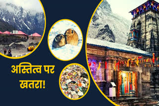 plastic waste in Kedarnath Dham