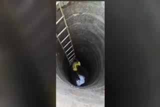 75 year old man Rescued From Well:
