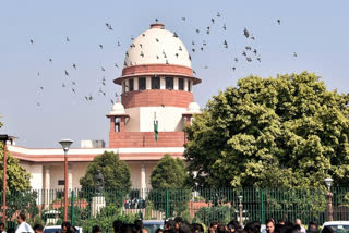 The Supreme Court on Tuesday extended till August 28 the deadline for demolition of Supertech's twin 40-storey towers in its Emerald project in Noida, Uttar Pradesh