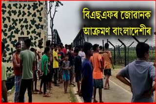 Cattle smuggling in Indo Bangla Border