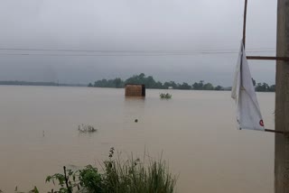 flood-situation-in-sonitpur-gradually-improves
