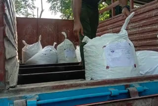 STF police seizes huge cannabis in Durgapur