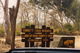 Free entry for children up to 12 years in Corbett Park