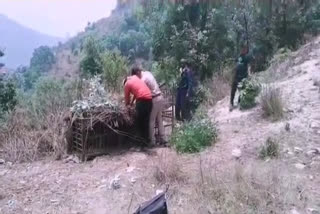 Forest Department put cage in Saplodi village