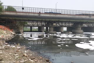 After leaving drain water in Yamuna foam started floating again Yamuna is moaning due to pollution