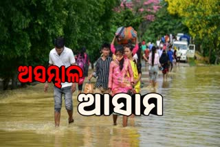 Assam flood: ଉବୁଟୁବୁ ଆସାମ, 4 ଲକ୍ଷରୁ ଉର୍ଦ୍ଧ୍ବ ପ୍ରଭାବିତ