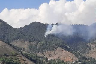 forest-fire-triggers-several-landmine-explosions-along-loc-in-j-and-ks-poonch