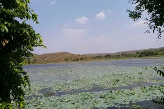 Wadali Lake Renewal