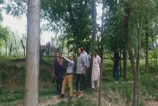 wild-life-department-found-brown-bear-in-gulshan-abad-pulwama
