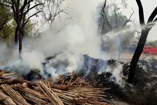 Fire in sawmill of Balodabazar under control