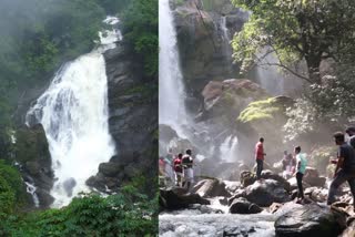 Idukki Falls during monsoons  idukki water falls in mansoon  tourists visit water falls in idukki during mansoon  മൺസൂണിൽ മിഴി തുറന്ന് നീരുറവകൾ  മൺസൂണിൽ നിറഞ്ഞൊഴുകി നീരുറവകൾ  വെള്ളച്ചാട്ടങ്ങൾ കാണാൻ ഇടുക്കിയിൽ സഞ്ചാരികളേറെ  ഇടുക്കി മൺസൂൺ ടൂറിസം  Idukki Monsoon Tourism  ഇടുക്കി വെള്ളച്ചാട്ടം  idukki water falls