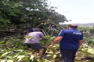 Haridwar Typhoon News