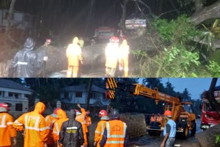 Heavy rain in Kozhikode  Kozhikode rain updates  Kozhikode weather updates  Kozhikode climate news  കോഴിക്കോട് കനത്ത മഴ തുടരുന്നു  കോഴിക്കോട് ശക്തമായ മഴ  കൊയിലാണ്ടിയിൽ മരം വീണ് ഗതാഗതം തടസപ്പെട്ടു  കോഴിക്കോട് യെല്ലോ അലർട്ട്  Kozhikode Yellow Alert