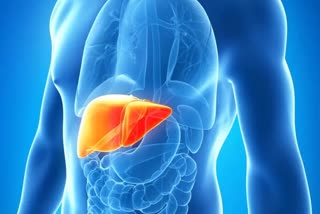 how to maintain healthy liver