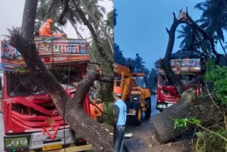 kl_kkd_19_03_rain_follow_7203295  heavy rain kozhikode  heavy rain and wind in kozhikode  ശക്തമായ കാറ്റും മഴയും കോഴിക്കോട് രണ്ടിടങ്ങളില്‍ ഓടിക്കൊണ്ടിരിക്കുന്ന വാഹനങ്ങൾക്ക് മുകളില്‍ മരം വീണു  കോഴിക്കോട് ഓടിക്കൊണ്ടിരുന്ന കാറിനും ലോറിക്കും മുകളിലാണ് മരം വീണത്