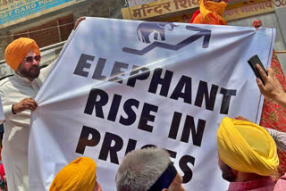 In a symbolic protest, Punjab Congress leader Navjot Singh Sidhu on Thursday rode an elephant against the price rise of essential commodities. This is not the first time the erstwhile cricketer had driven home the point riding elephants. He had done that in 2006 and in 2012.