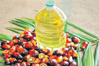 Indonesia Palm Oil