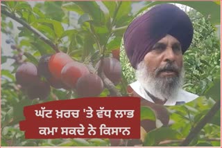 Jugaari Jatt to the farmers who are telling the way to earn more profit in less money