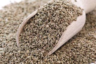 Ajwain is rich in nutrients