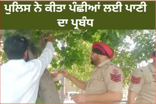 Bathinda police provided water for the animals