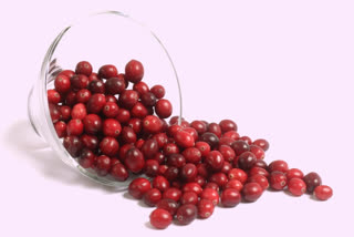 Benefits of Cranberries