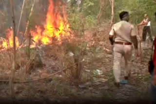 Delhi Fire breaks out in forest area near Majnu Ka Tila