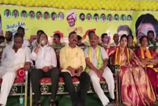 TDP Mini Mahanadu