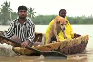 people-rescued-dog-and-pupies-at-davanagere