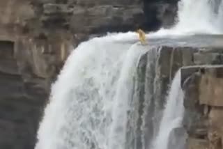 girl-jumped-in-chitrakot-waterfall-of-jagdalpur