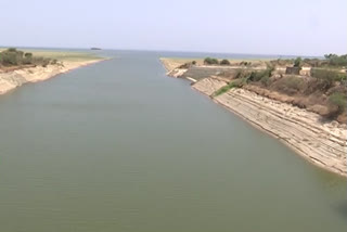 Sriram sagar Project: ఎస్సారెస్పీలో నిత్యం జలకళ ఉండేలా ప్రభుత్వం చర్యలు