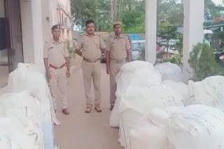 Ganja Seized:ଜଙ୍ଗଲରେ ରେଡ,୬୦୦ କେଜିରୁ ଉର୍ଦ୍ଧ୍ବ ଗଞ୍ଜେଇ ଜବତ