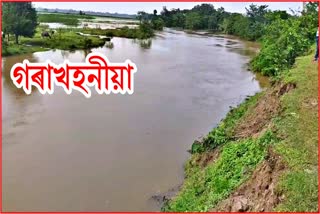 মিটং নদীৰ গৰাখহনীয়াই আমগুৰিত লৈছে ভয়াবহ ৰূপ