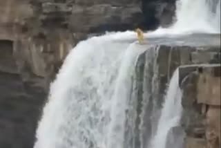 Girl jumped from a height of 100 feet in Chitrakot waterfall of Chhattisgarh