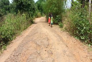bad-condition-of-rural-roads-in-jama-assembly-constituency-of-mla-sita-soren