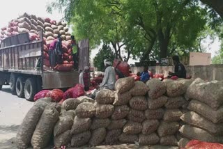 Bhavnagar yard Onion Income : ભાવનગરમાં યાર્ડમાં આવતી ડુંગળીથી કેટલા ખેડૂતોને થશે ફાયદો...