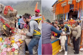 केदारनाथ में कुत्ते से कराया था नंदी को स्पर्श, kedarnath dham dog viral video