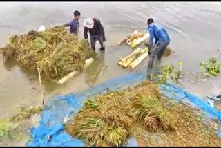 artificial flood effects in Bongaigaon