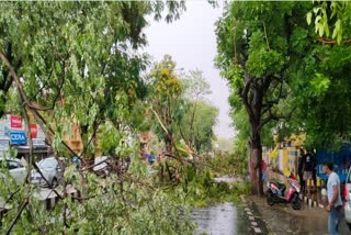 rain-in-ranchi-after-scorching-heat