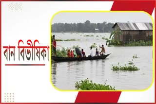 ৰাজ্যত বানৰ বিভীষিকা; ৰে’লপথত আশ্ৰয় সহস্ৰাধিক বন্যাৰ্ত