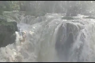 ಹೊಗೆನಕಲ್ ಜಲಪಾತ