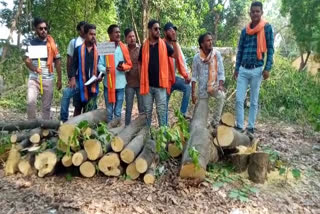 protest against cutting trees