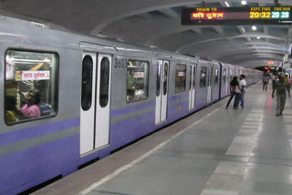 metro-service-disrupted-due-to-falling-of-tree