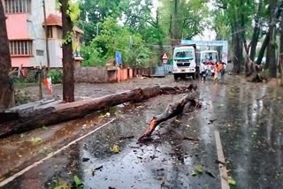 Jhargram Kalbaisakhi