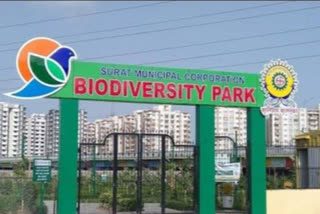 International Biodiversity Day 2022 : ગુજરાતના પ્રથમ બાયો ડાયવર્સિટી પાર્કમાં પર્યાવરણની જાળવણીને લઈને કરવામાં આવ્યા આ કામો