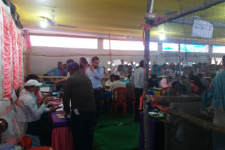 Counting of votes for the second phase of panchayat election
