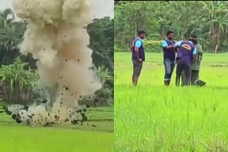 Bomb Disposal Squad neutralises bombs Hogla forest area West Bengal