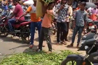 throwing crop on road by farmers