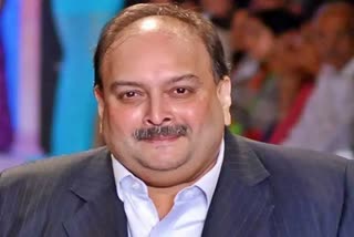 MEHUL CHOKSI, PNB SCAM ACCUSED