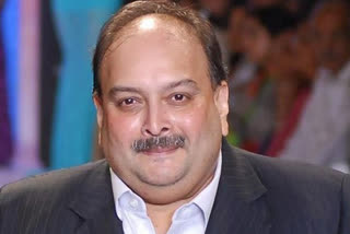 Mehul Choksi